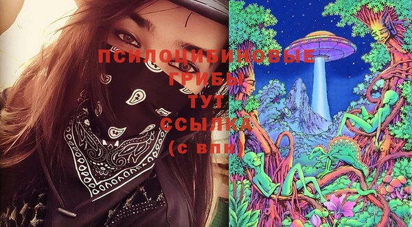 дурь Снежногорск