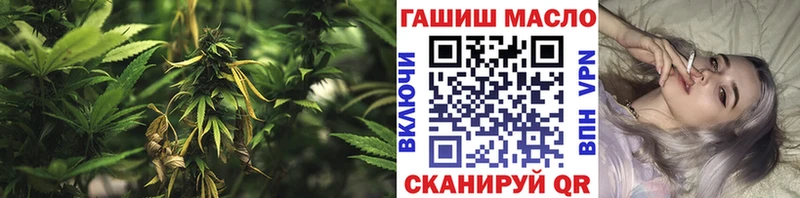кракен tor  Серафимович  ТГК гашишное масло  закладки 